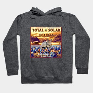 Eclipse 2024 Hoodie